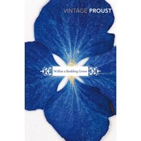 Vintage Proust book "In Search of Lost Time" with a blue flower cover design.