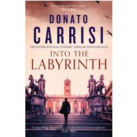 "Into the Labyrinth book with a cover showing statues and a distant building under a pink sky"