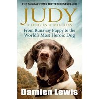 "Judy book cover featuring a brown and white dog with a mountainous background and text by author Damien Lewis"