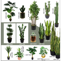 Assorted large tropical plants in pots, including palms, cacti, and snake plants, ideal for home or office decor.