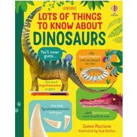 "Colorful children's book 'Lots of Things to Know About Dinosaurs' with illustrated dinosaurs and facts on cover"