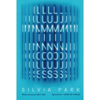 Blue book cover titled "Luminous" by Silvia Park, featuring vertical white letters forming abstract patterns.
