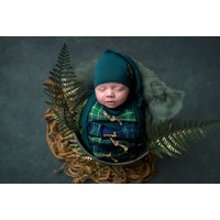 Newborn in green tartan wrap and hat, nestled in a basket with ferns, by Glasgow Family Photography.