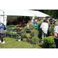 Garden show tickets with people browsing plants under white tents at an outdoor event.