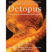 "Book titled 'Octopus' featuring a close-up of an orange octopus on the cover."