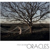 "Oracles album by Vinyl Castle, cover shows a bare tree with draped fabric in a muted landscape, text at bottom."