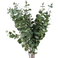 Pack of 6 artificial eucalyptus stems, 100cm tall, with lush green rounded leaves and realistic texture.