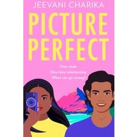 "Picture Perfect book cover with illustrated woman holding camera and man, pink background, yellow title text"