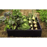 Black rectangular raised bed kit with green leafy vegetables and onions growing inside.