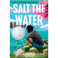 "Salt the Water" book by Dutton, cover shows person by water with city skyline, silver award sticker on front.