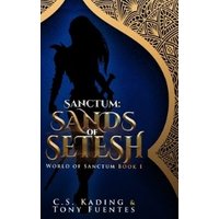 Blue book cover "Sanctum: Sands of Setesh" with gold ornate border and silhouette of a warrior.