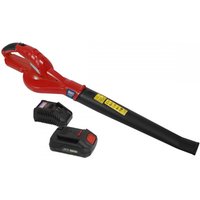 Red Sealey cordless leaf blower with black nozzle, includes 20V 2Ah battery and charger.