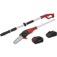 Red and black Sealey 20v cordless telescopic tree pruner with silver pole, battery, and charger kit.