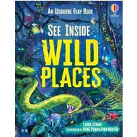 "Usborne flap book 'See Inside Wild Places' with jungle scene, green snake, and vibrant foliage on the cover"