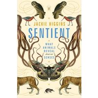"Sentient book by Jackie Higgins, cover with owls, octopuses, birds, moth, and leopards on a cream background"