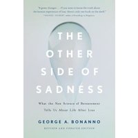 "The Other Side of Sadness" book with a light blue cover, featuring a subtle image of a face in the background.