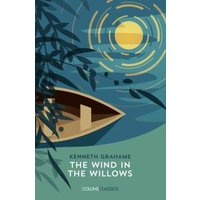 "The Wind in the Willows book with a boat on water, moonlit sky, and willow branches on the cover."