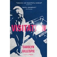 Blue book cover titled "Visitation" by Carolyn Gillespie, featuring abstract white and pink shapes.