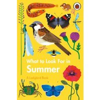 Yellow book cover titled "What to Look for in Summer" with illustrations of birds, insects, and flowers.