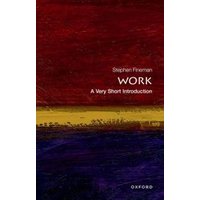 Dark abstract cover of "Work: A Very Short Introduction" by Stephen Fineman, with red, yellow, and blue horizontal bands.