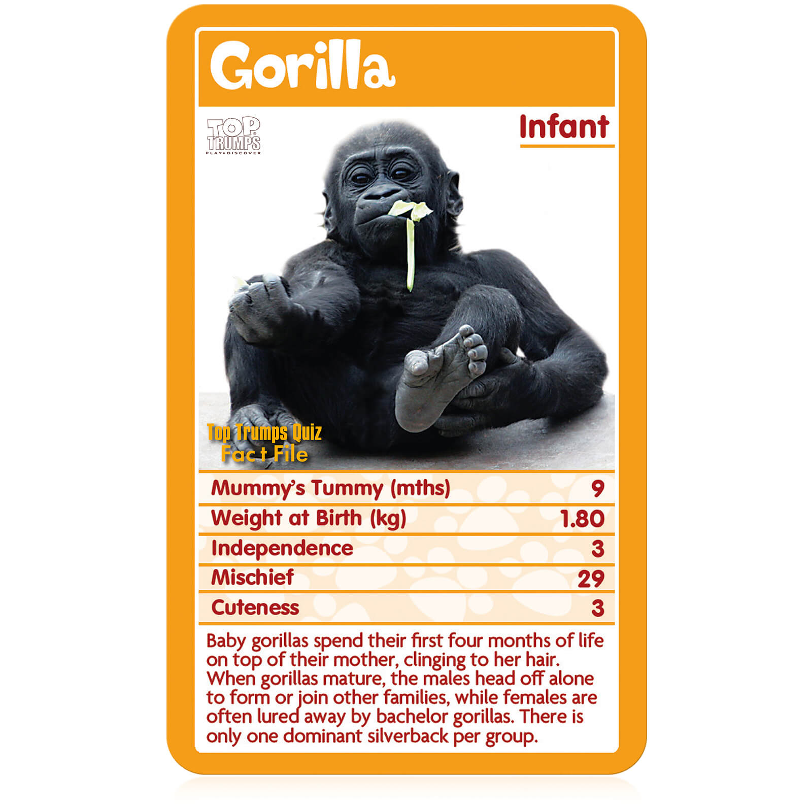 Top Trumps Classics Card Game - Baby Animals Edition - image 2