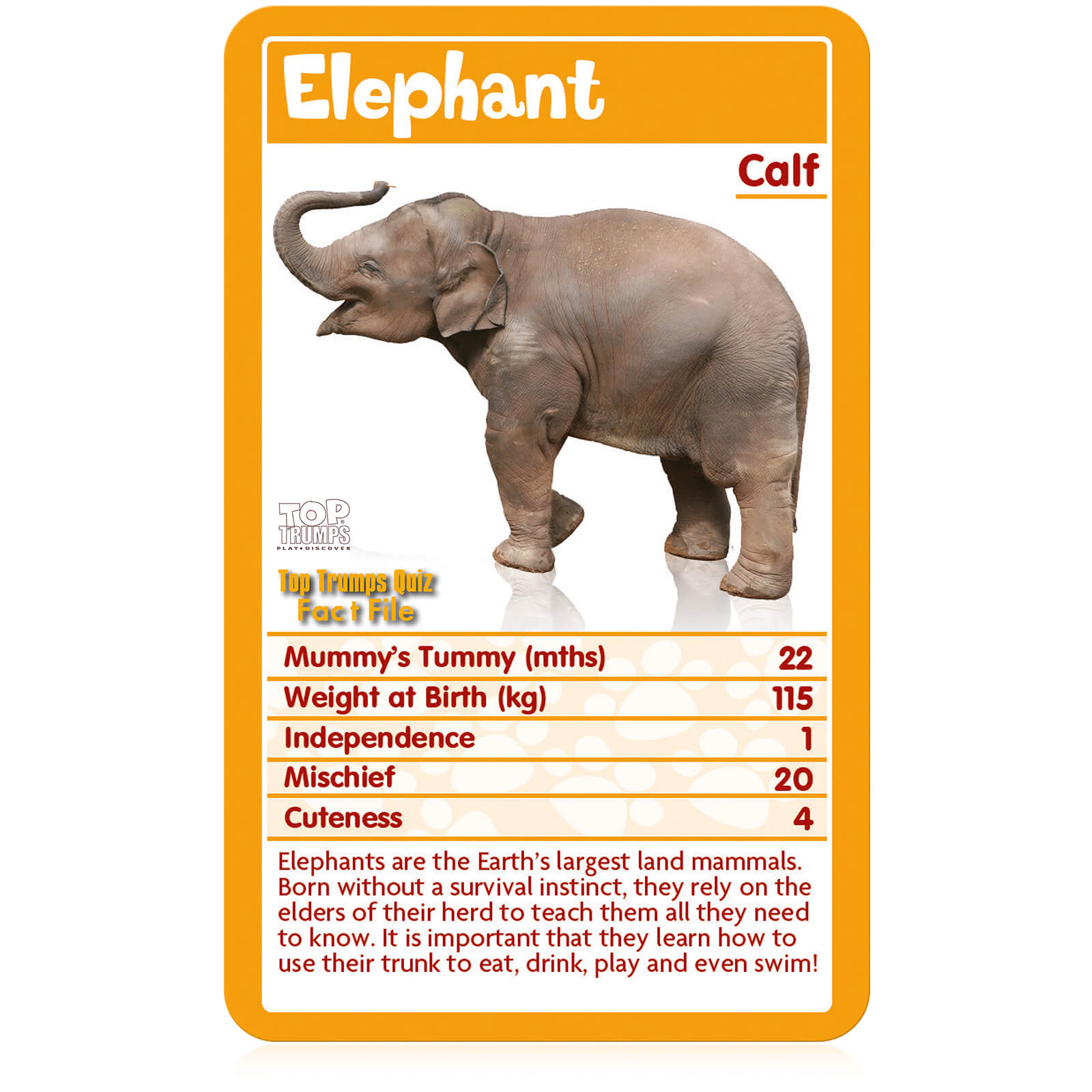 Top Trumps Classics Card Game - Baby Animals Edition - image 3