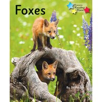 Children's book "Foxes" with two fox cubs on a log, surrounded by grass and purple flowers.