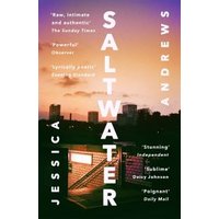 "Saltwater book by Jessica Andrews, sunset cityscape cover with bold white text and praise quotes on sides"