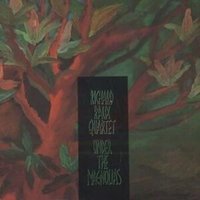 Vinyl record album "Under the Magnolias" by Vinyl Castle, featuring a dark, leafy magnolia tree cover design.