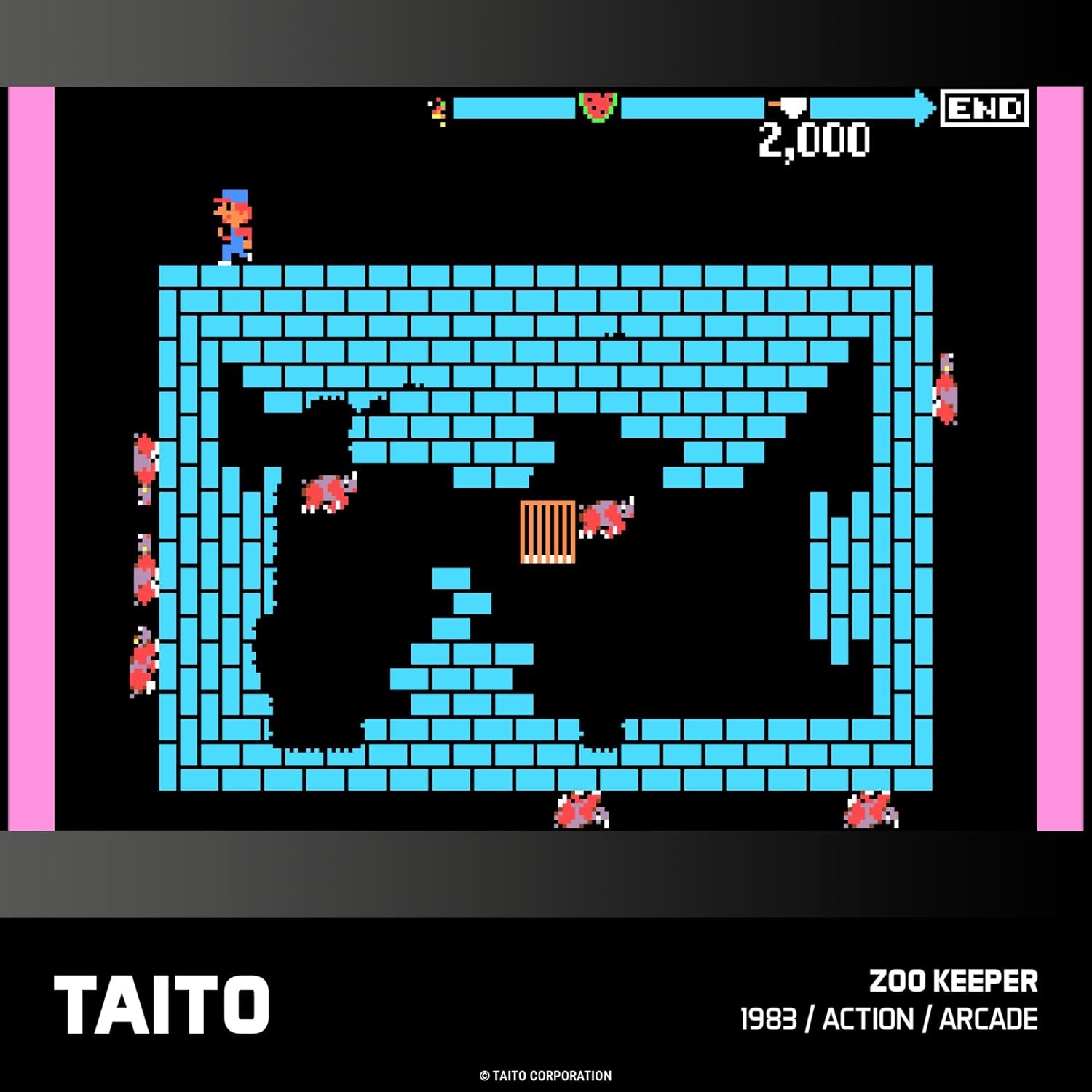 TAITO Arcade 3 - Evercade - image 5