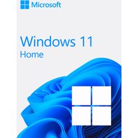 Windows 11 Home OEM package with blue abstract swirl design and white Windows logo on a light gray background.