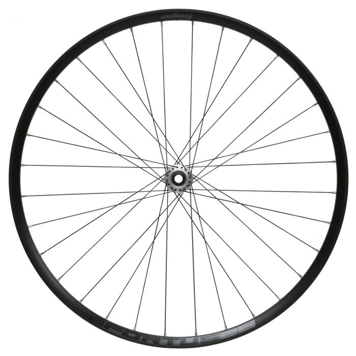 Silver 29-inch front wheel with a 110mm x 15mm Boost hub, featuring a Centre Lock rotor mount and a sleek, lightweight design with black spokes.