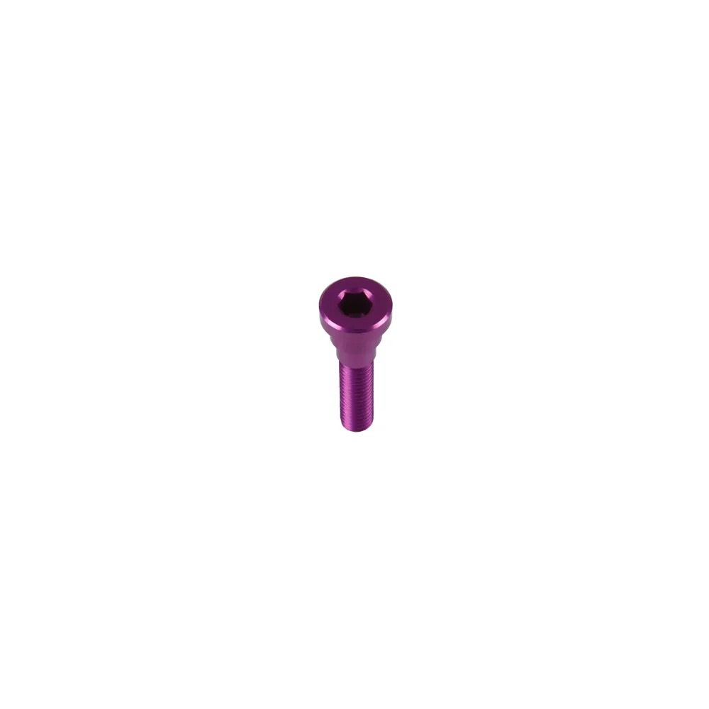 Purple aluminum top cap bolt with a rounded head and hexagonal socket, designed for bike components, featuring a shiny finish for a sleek look.