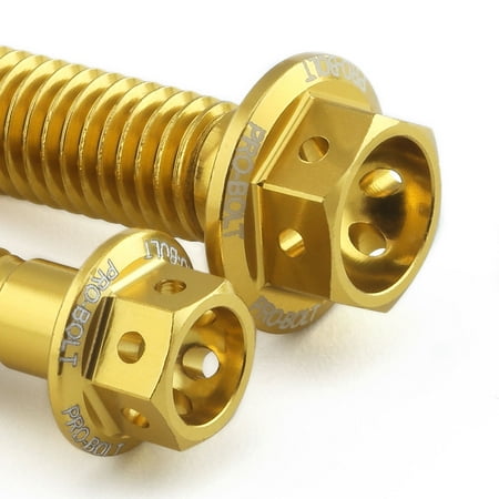 Gold anodized aluminum rear brake reservoir and master cylinder bolts with hexagonal heads, featuring engraved "PRO-BOLT" branding.