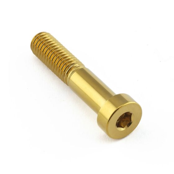 Gold stainless steel brake caliper pinch bolt with a hexagonal socket head and fine threading, designed for Brembo applications by Pro-Bolt.