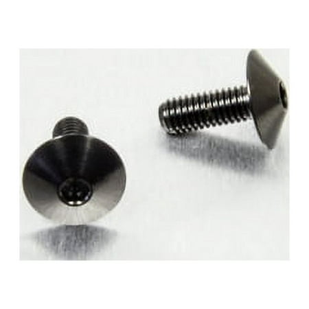 Pro-Bolt Stainless Steel rear brake reservoir mount bolt kit featuring two black, rounded head bolts with a polished finish and threaded shafts for durability and style.