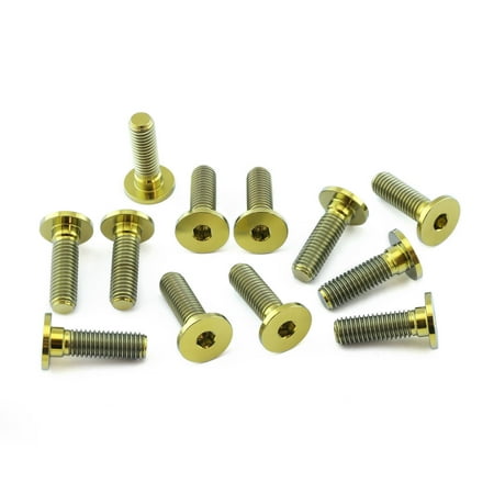 Pro-Bolt Titanium Brake Disc Bolt Kit featuring twelve gold bolts with hexagonal sockets and flat heads, designed for durability and lightweight performance.
