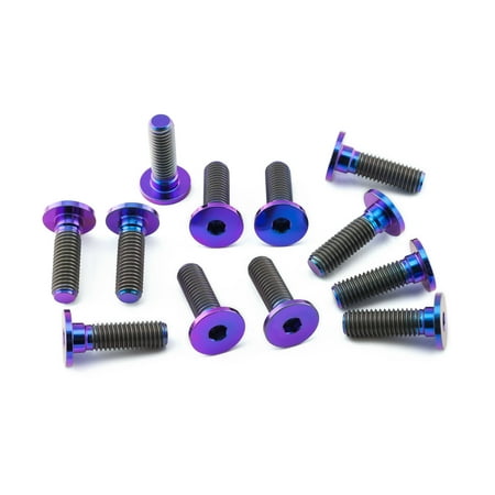 Pro-Bolt Titanium Brake Disc Bolt Kit featuring twelve purple and black bolts with a hexagonal socket head, designed for durability and style.