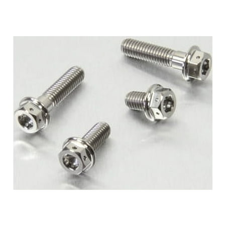 Pro-Bolt Titanium Front & Rear Brake & Clutch Reservoir Mount Bolt Kit in silver, featuring four bolts with hex heads and a polished finish for durability and style.