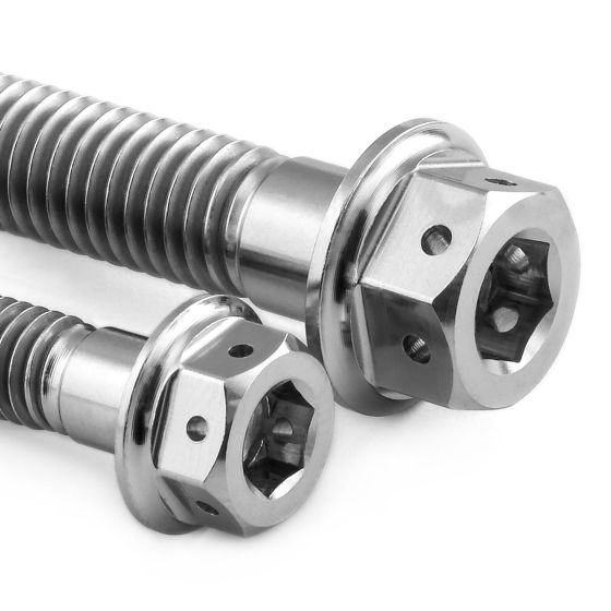 Pro-Bolt titanium rear brake caliper mounting slide bolt kit featuring two silver bolts with hexagonal heads and ribbed shafts for enhanced grip and durability.
