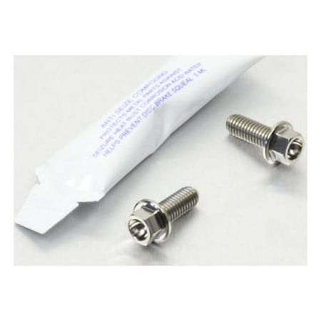 Pro-Bolt Titanium Rear Slave Master Cylinder Mount Bolt Kit featuring two silver titanium bolts and a small tube of lubricant, showcasing a sleek, durable design.