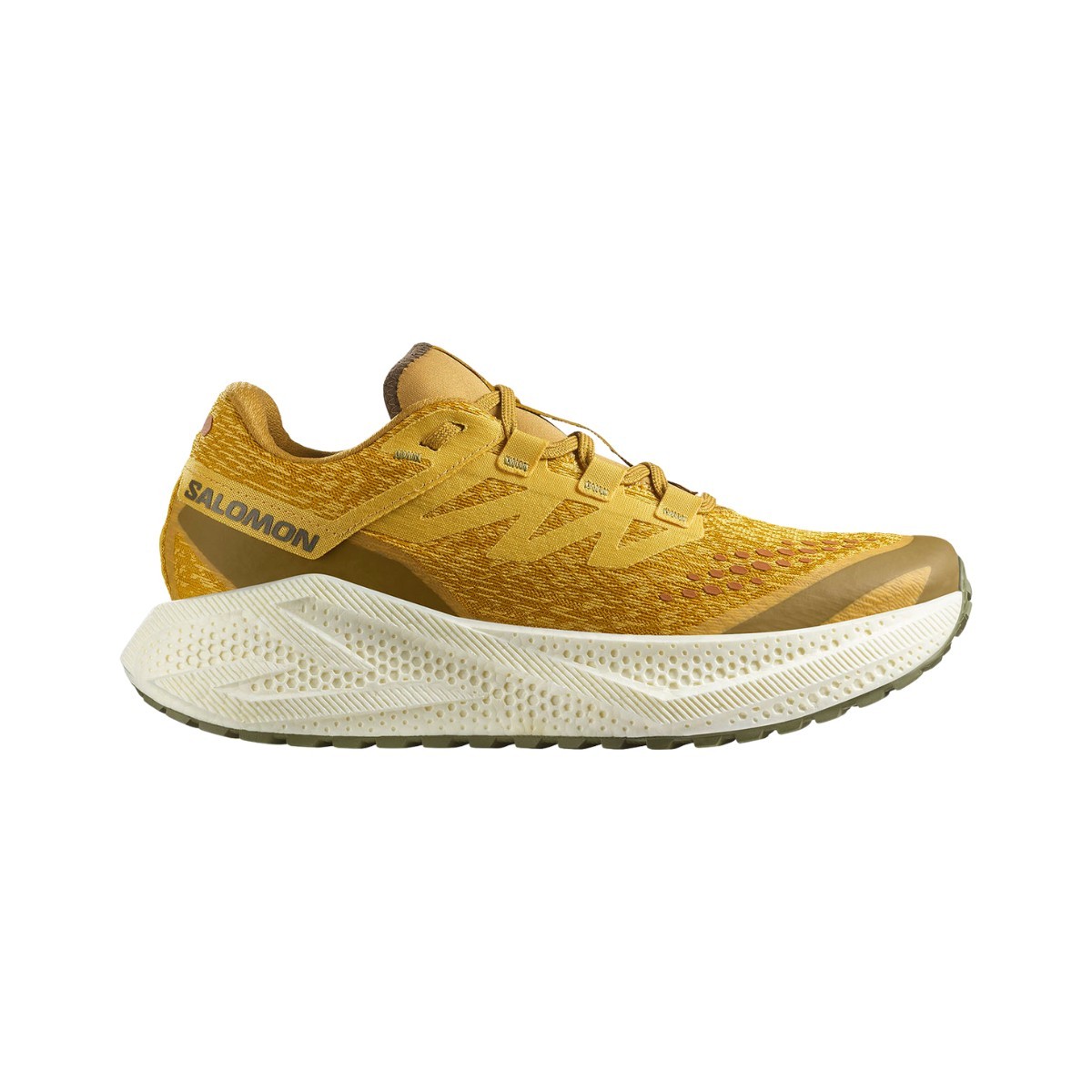 Salomon Aero Glide 3 Grvl men's running shoes in spicy mustard, vanilla ice, and deep lichen green, featuring a breathable mesh upper and cushioned sole, size 10.
