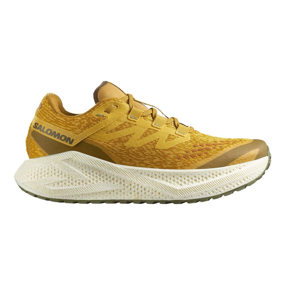 Men's Salomon Aero Glide 3 Grvl running shoes in Spicy Mustard with Vanilla Ice and Deep Lichen Green accents, featuring a breathable synthetic upper and cushioned sole.