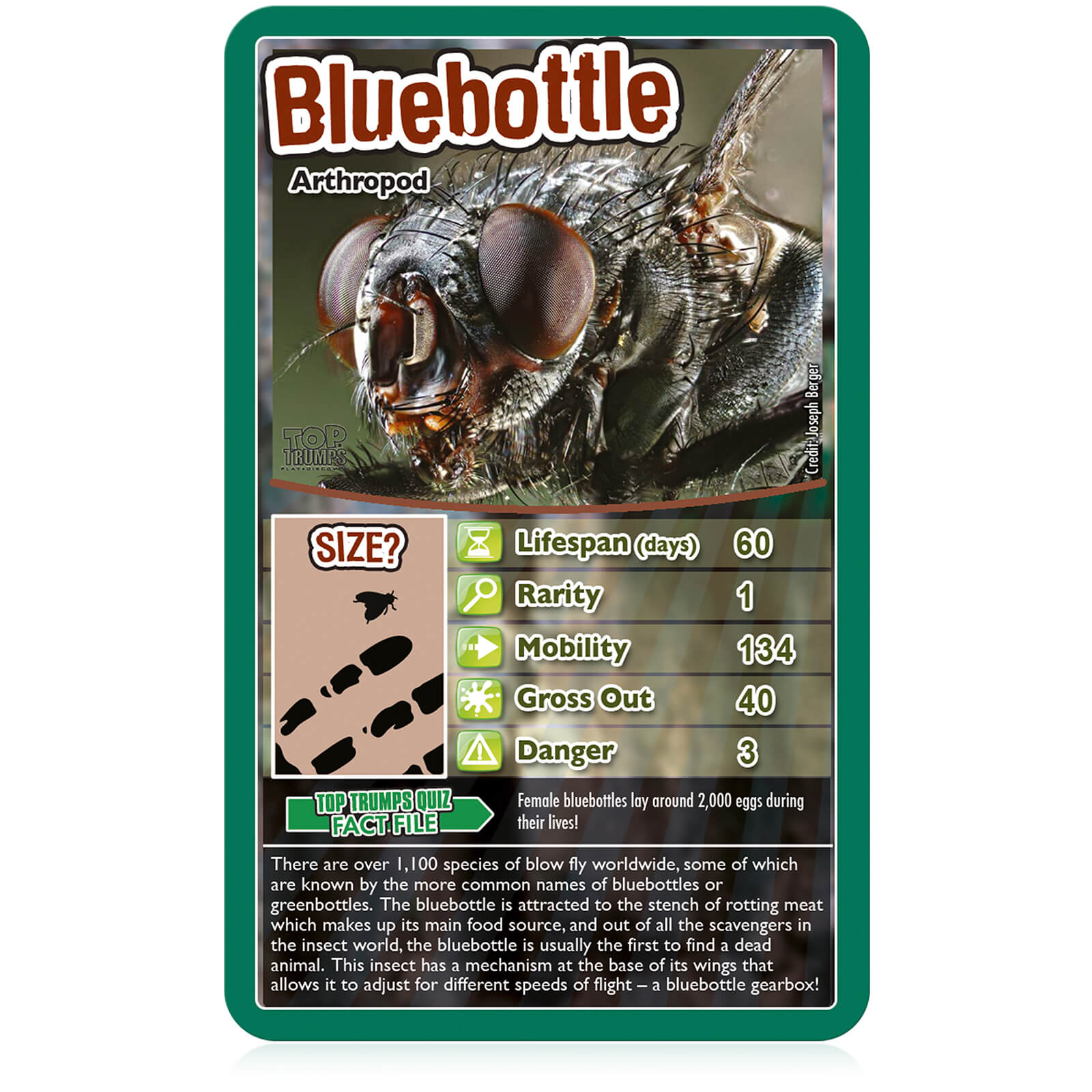Top Trumps Classics Card Game - Bugs Edition - image 2