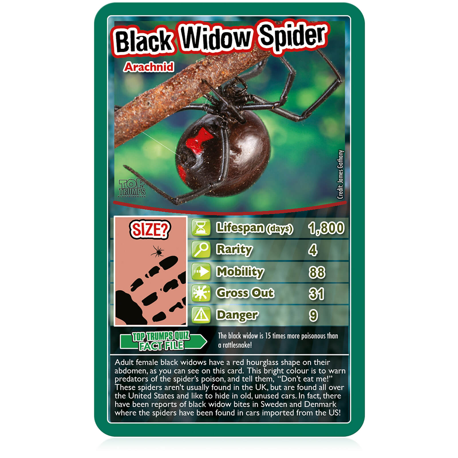 Top Trumps Classics Card Game - Bugs Edition - image 3