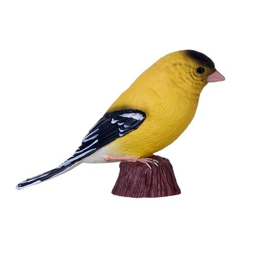 American Goldfinch - image 2