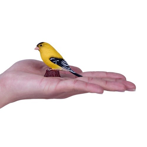 American Goldfinch - image 3