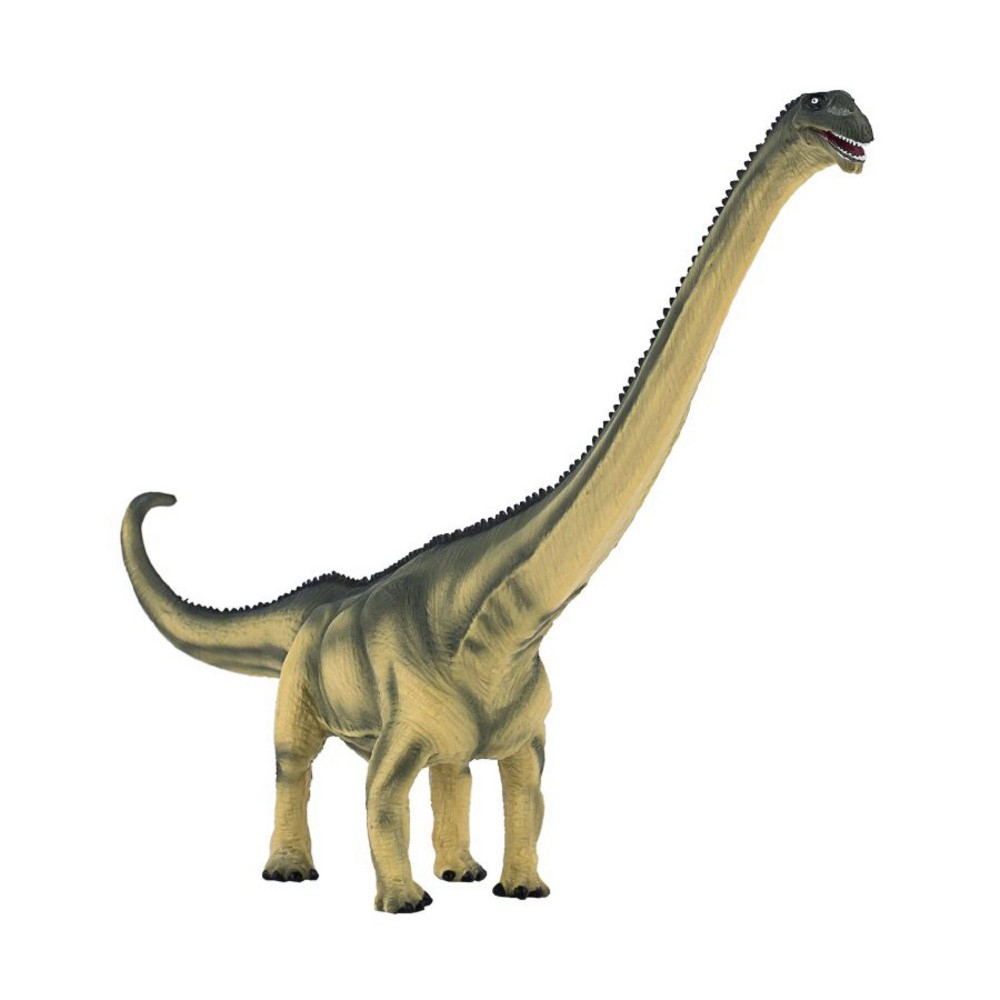 Green and grey Mamenchisaurus toy figure with a long neck, detailed body texture, and a friendly expression, made from durable plastic, suitable for ages 3 and above.