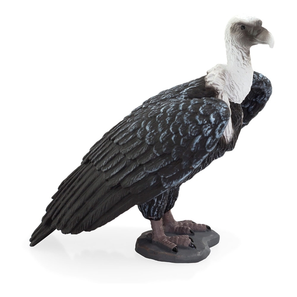 Black and white Griffon Vulture toy figure with detailed feather texture, sturdy plastic material, and a realistic stance, showcasing its large wings and distinctive beak.