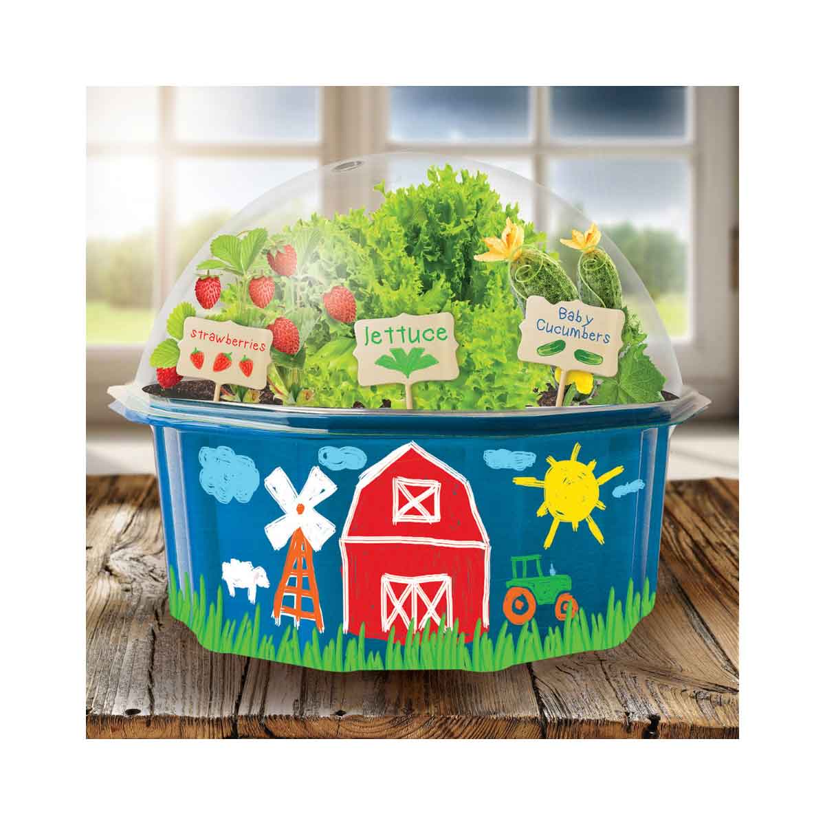 Grow and Decorate Your Own Farmers Garden Craft Set - image 3